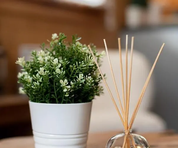 Aiguille De Chamonix- Alpes Travel - * Chamonix