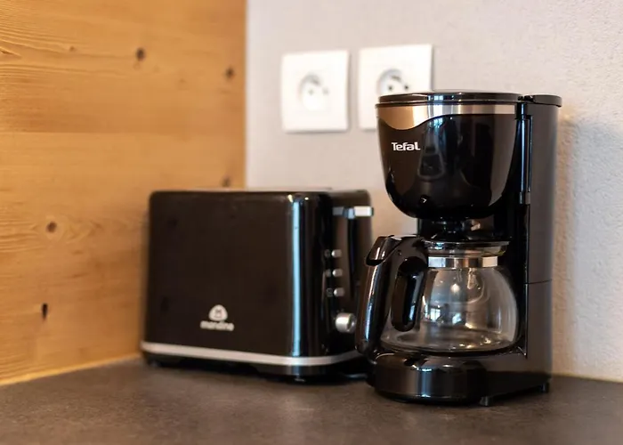 Aiguille De Chamonix- Alpes Travel - Apartment Chamonix